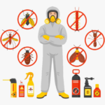 termite control treatment services