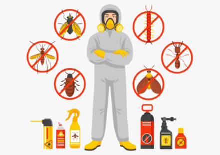 termite control treatment services