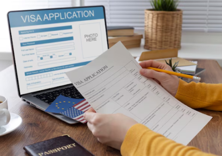 Professional Visa