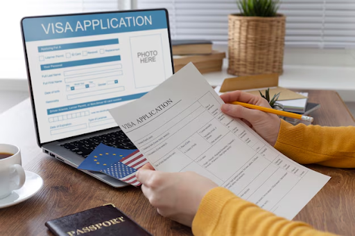 Professional Visa