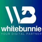 Digital Marketing Agency