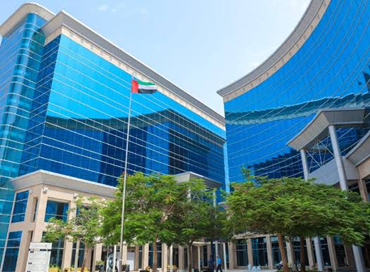 Accounting Standards for Offshore Companies in Ajman