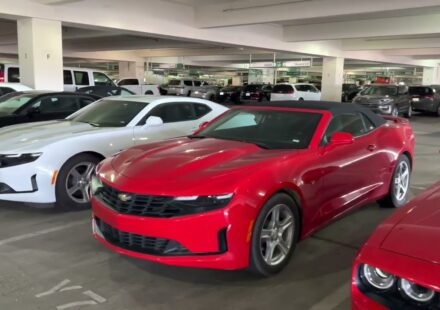 Car Rentals in Phoenix