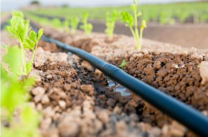 drip irrigation