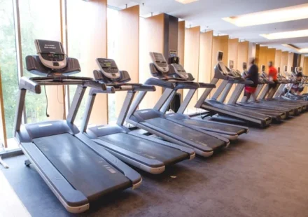 Ciapo Treadmill