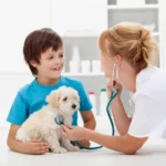Pet