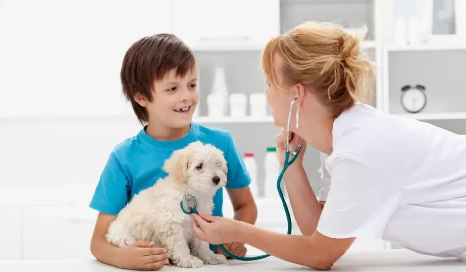 Pet