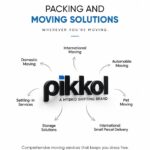 Best Packers and Movers